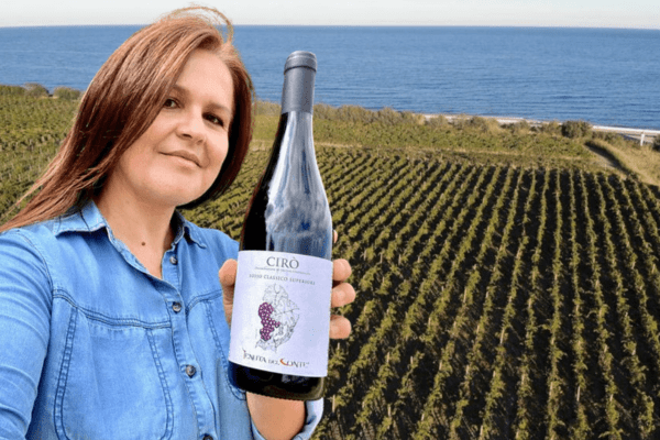 Tenuta del Conte: The Art of Winemaking in Harmony with Nature