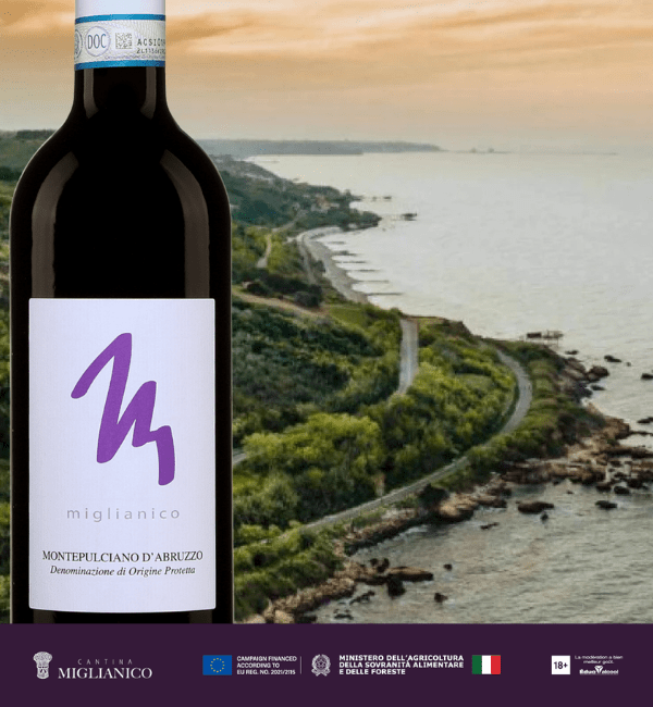 Entre mer et montagne