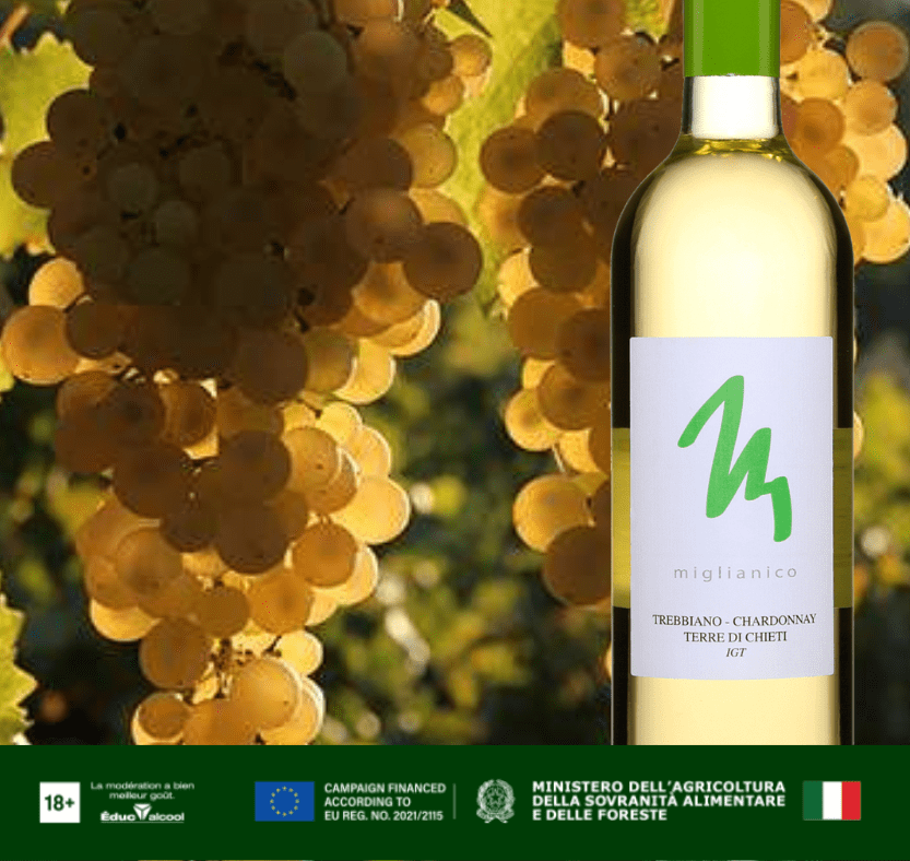 Terre di Chieti IGT Bianco : un vin blanc italien authentique issu du cœur des Abruzzes