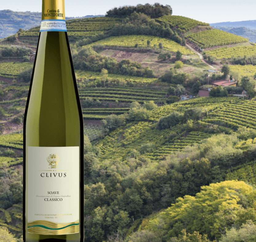 Clivus Soave Classico : L’élégance d’un terroir volcanique