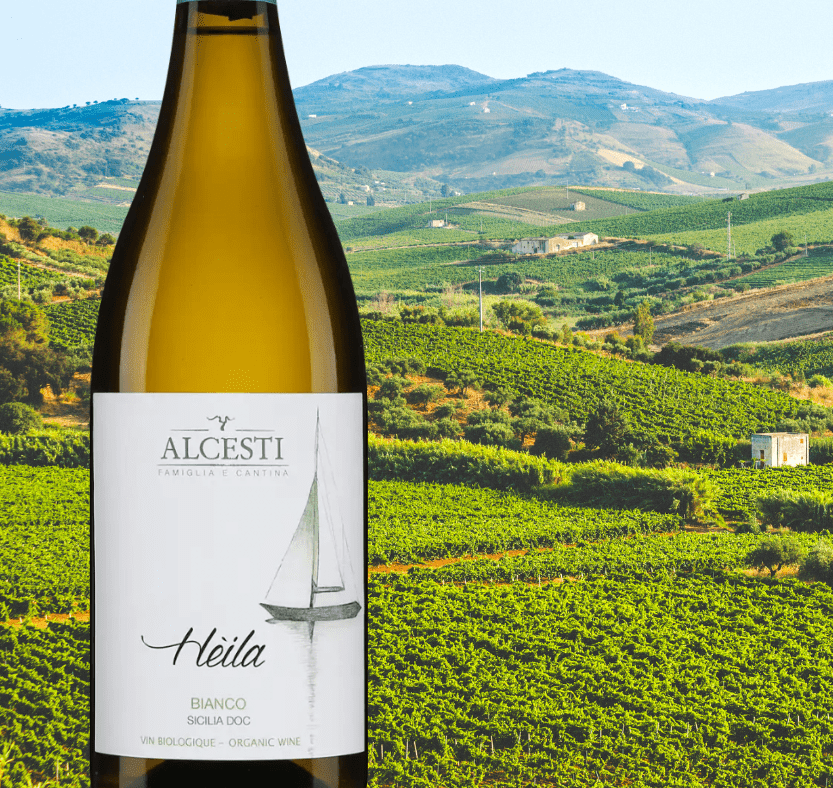 Heila Bianco by Alcesti: The Bright Freshness of Sicilia DOC, an Organic Gem to Discover