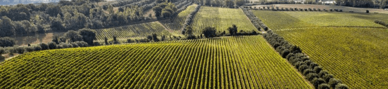 Cantina Castello di Torre in Pietra